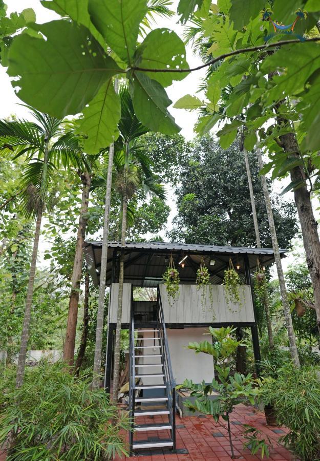 Serenity Villa And Treehouse Palakkad Exteriér fotografie
