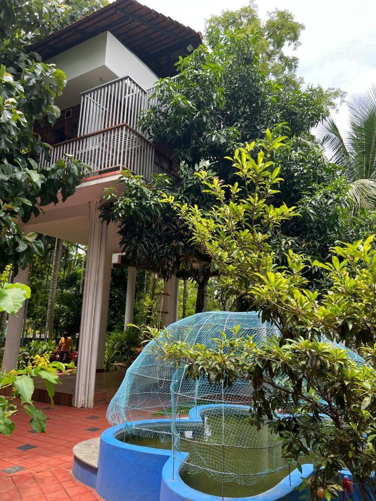 Serenity Villa And Treehouse Palakkad Exteriér fotografie