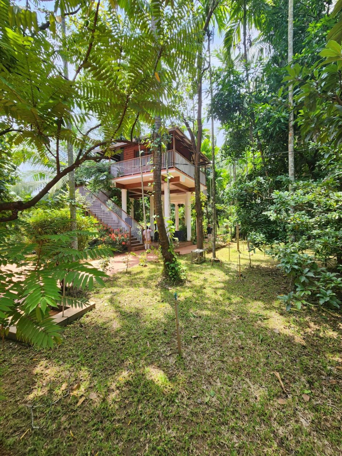 Serenity Villa And Treehouse Palakkad Exteriér fotografie